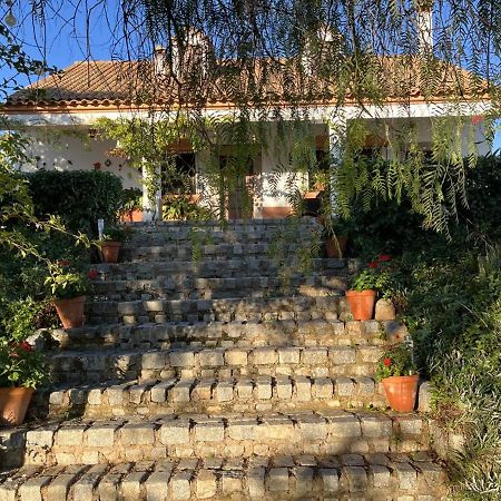 Casa Rural "El Carrasca" El Carrascalejo Exterior foto